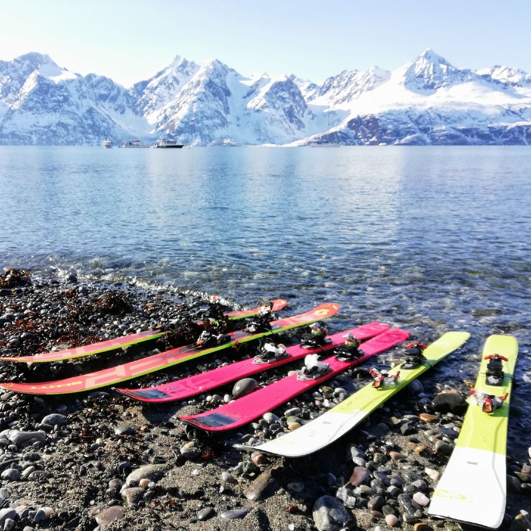 11Skis laying on a beach with mountain backdrop
