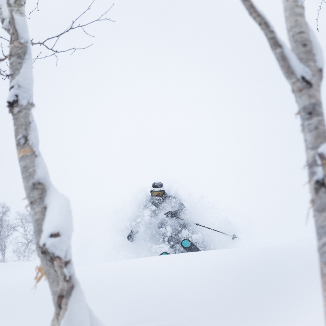 Skier in Honshu powder